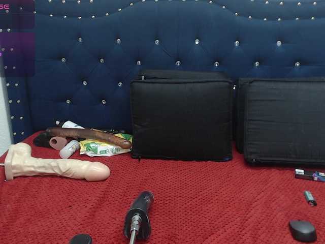 catalella-latina's BongaCams show and profile