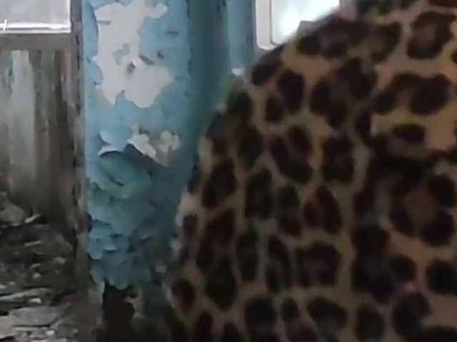 Margo77-1's BongaCams show and profile