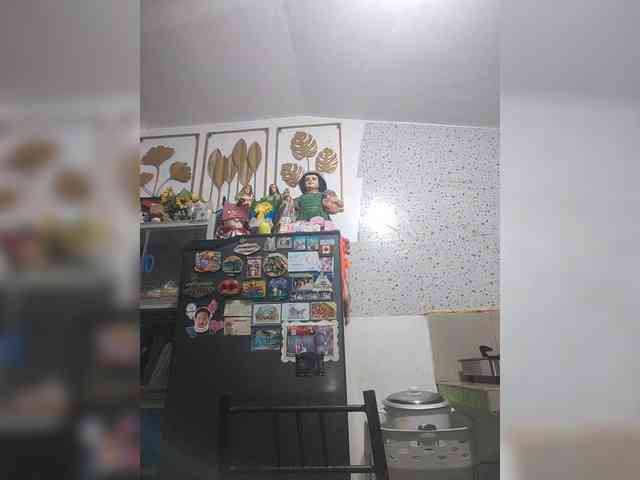 Harneytrix webcam