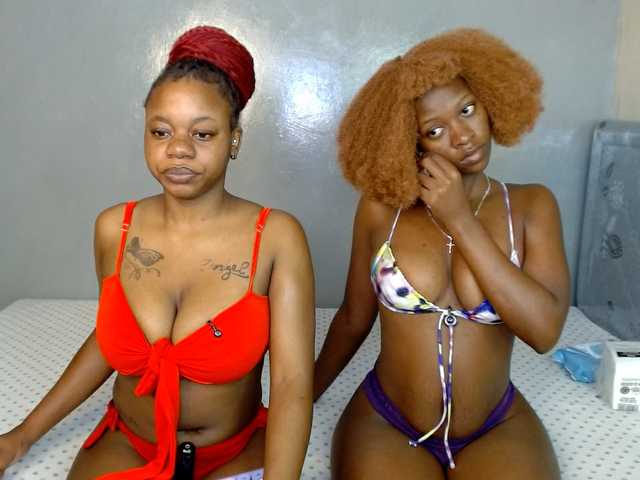 Royal309 live cam on BongaCams