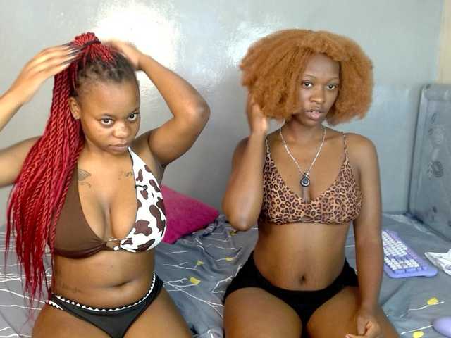 Royal309 live cam on BongaCams