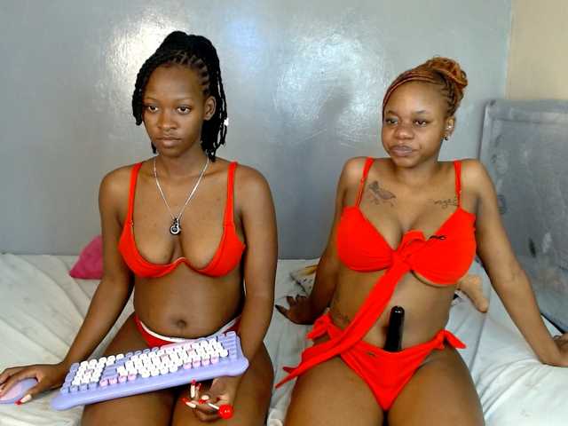 Royal309 live cam on BongaCams