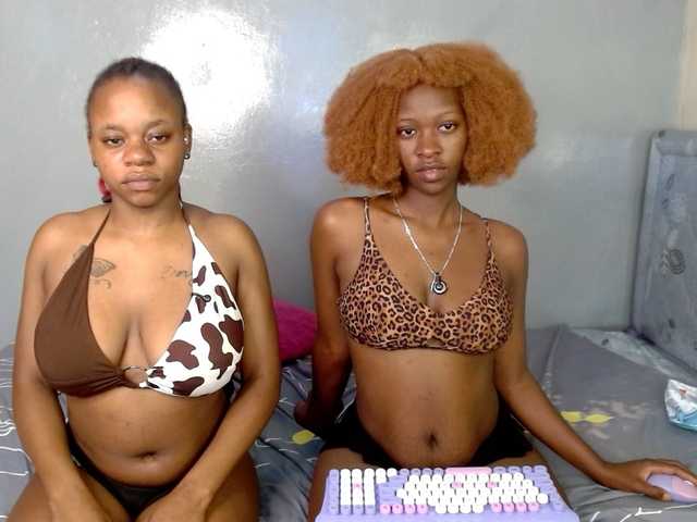 Royal309 live cam on BongaCams