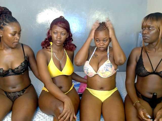 Royal309 live cam on BongaCams