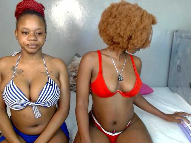 Royal309 live cam on BongaCams