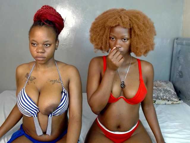 Royal309 live cam on BongaCams