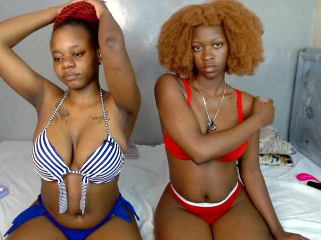 Royal309 live cam on BongaCams