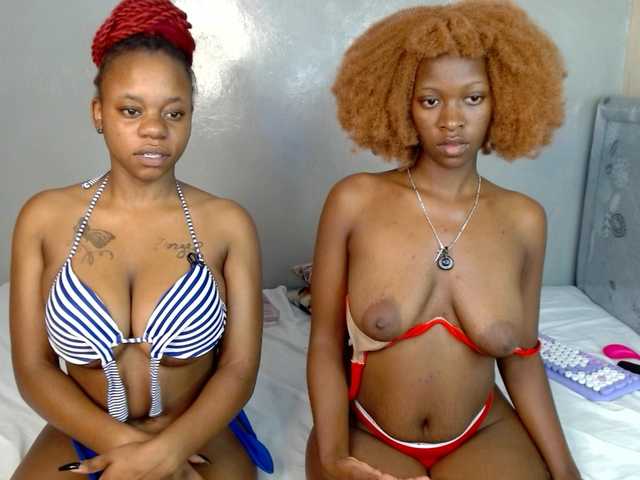 Royal309 live cam on BongaCams