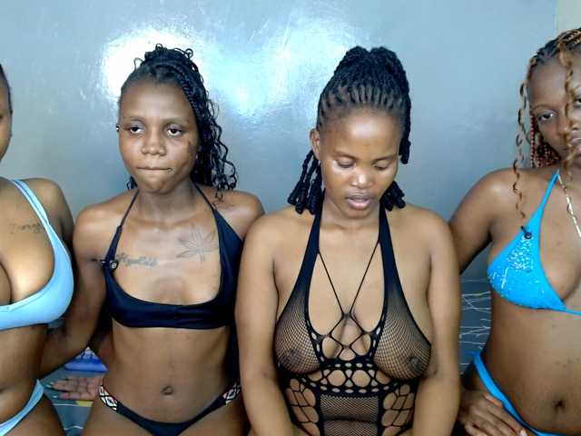 royal309 live sex