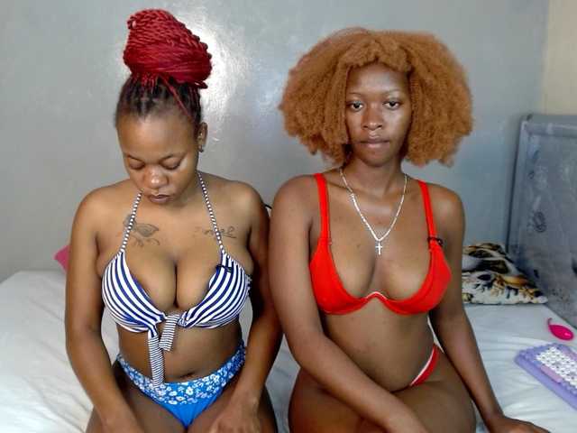 Royal309 live cam on BongaCams