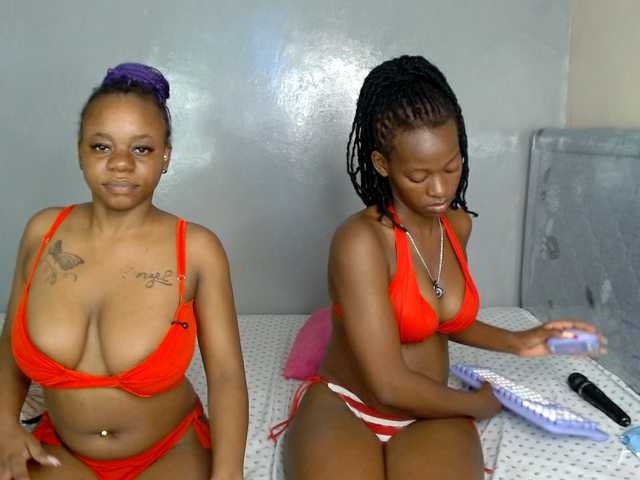Royal309 live cam on BongaCams