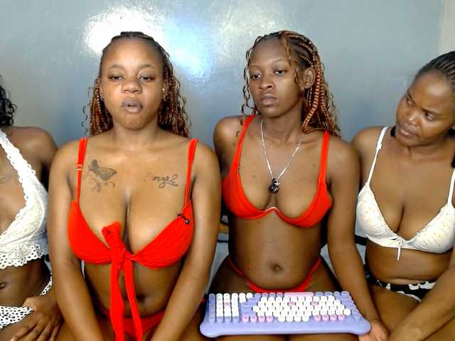 Royal309 live cam on BongaCams