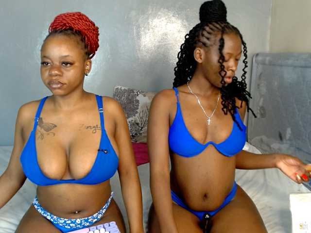 Royal309 live cam on BongaCams