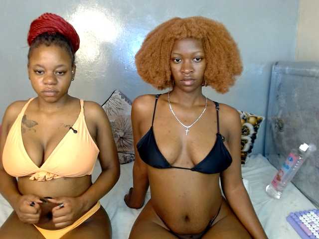 Royal309 live cam on BongaCams