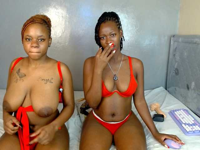 Royal309 live cam on BongaCams
