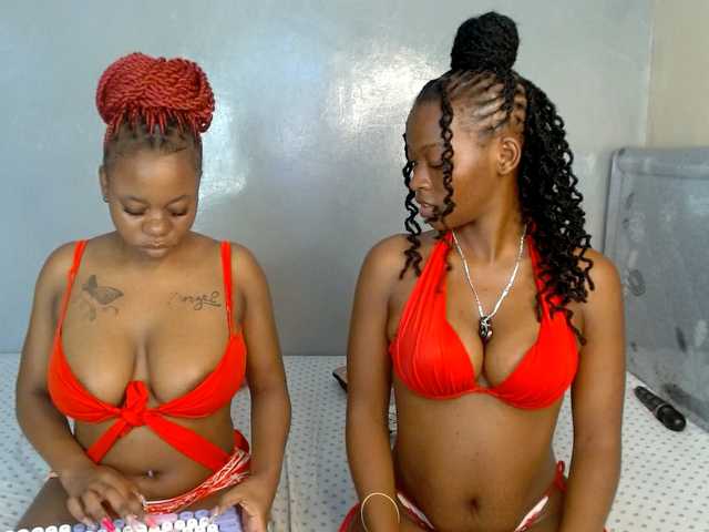 Royal309 live cam on BongaCams