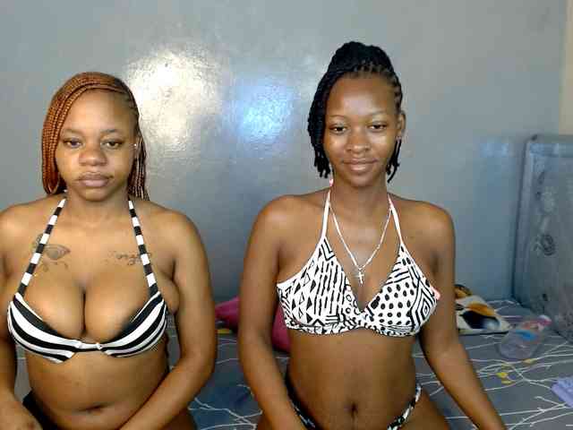 Royal309 webcam