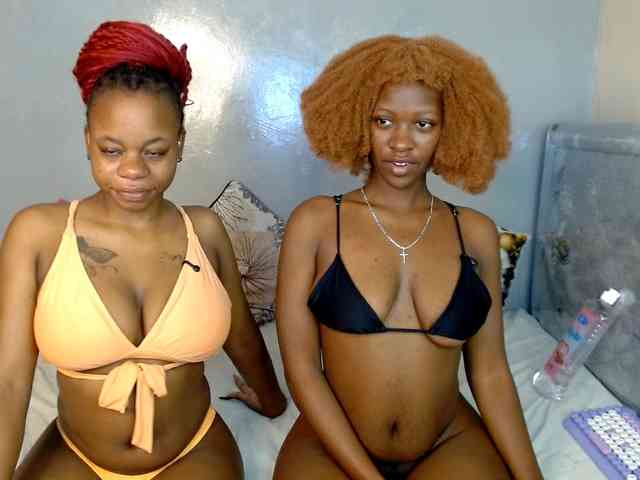 Royal309 webcam