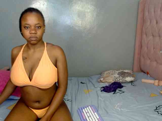 Royal309 webcam