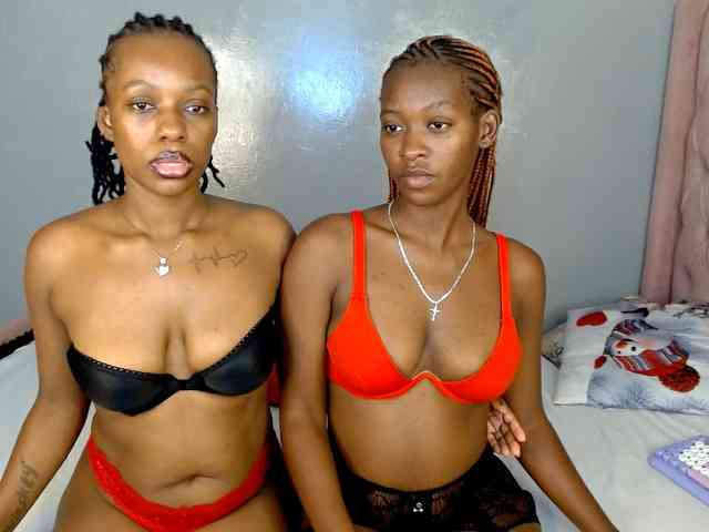 Royal309 webcam