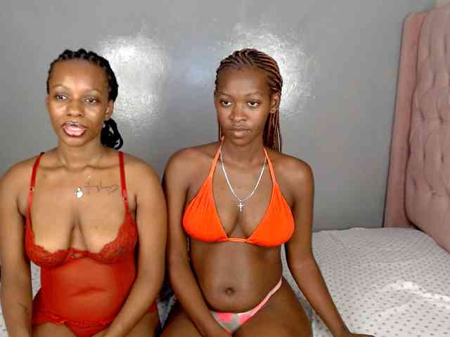 Royal309 webcam
