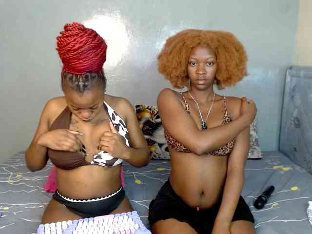 Royal309 webcam