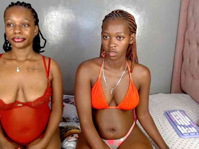 Royal309 webcam