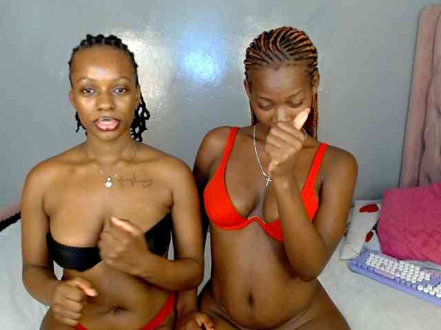 Royal309 webcam