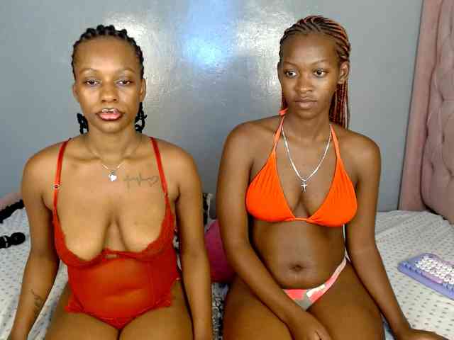 Royal309 webcam