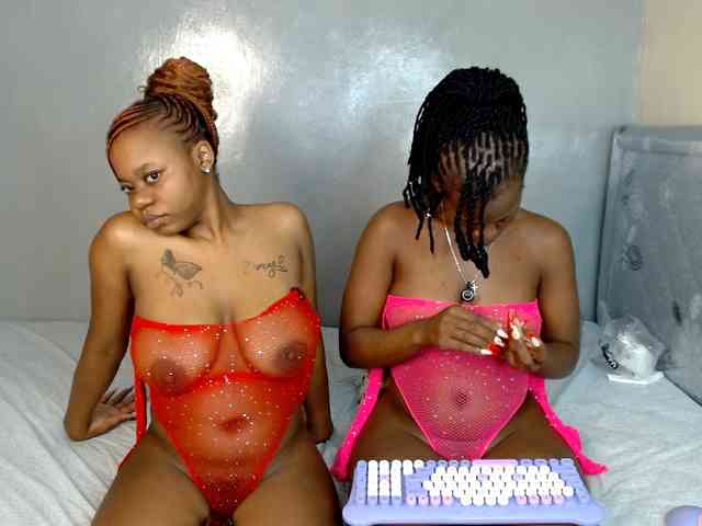 Royal309 webcam