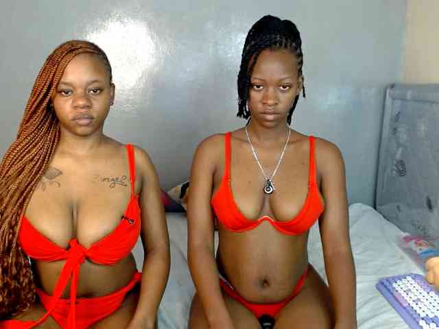 Royal309 webcam