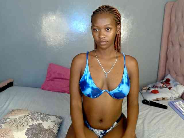 Royal309 webcam