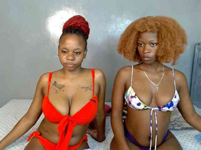 Royal309 webcam