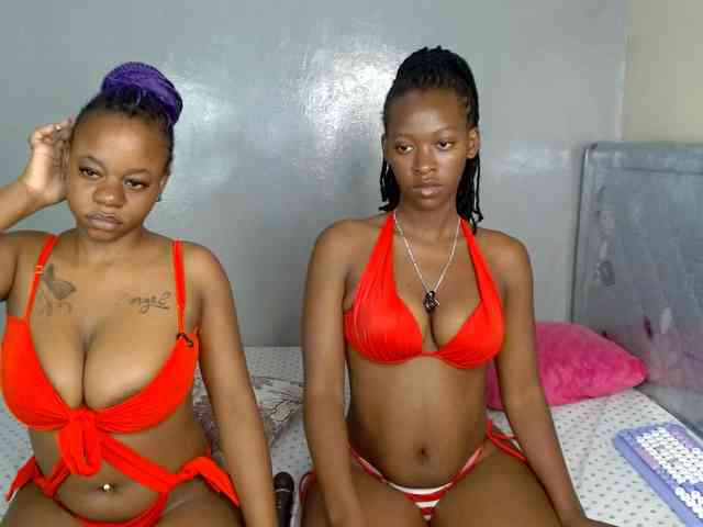 Royal309 webcam