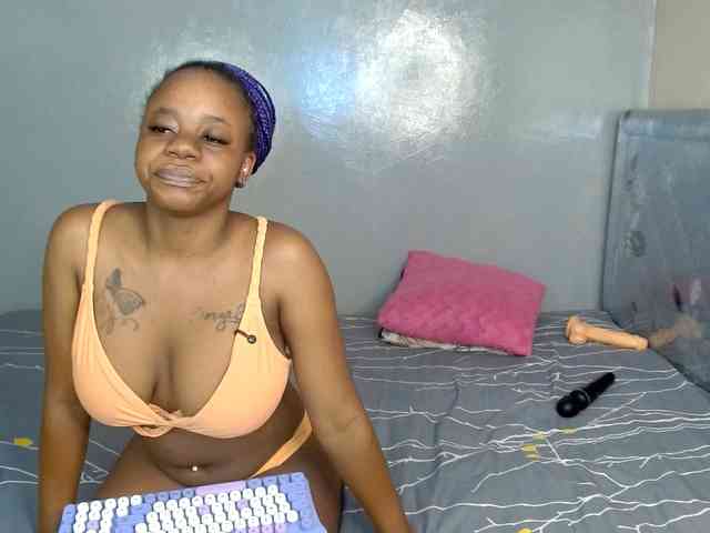 Royal309 webcam