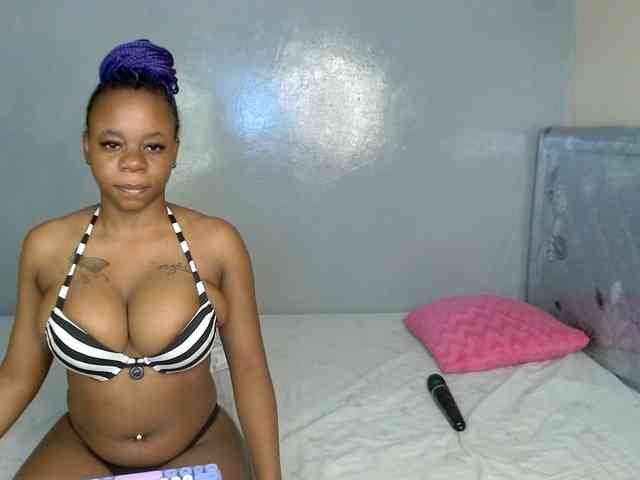 Royal309 webcam