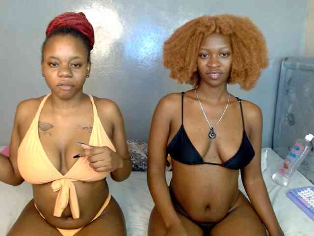 Royal309 webcam