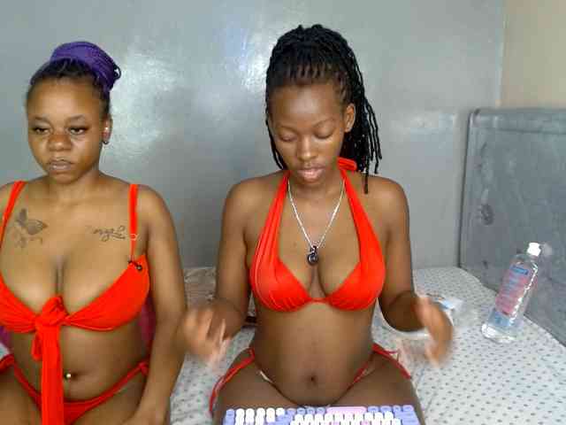Royal309 webcam