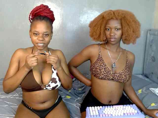 Royal309 webcam
