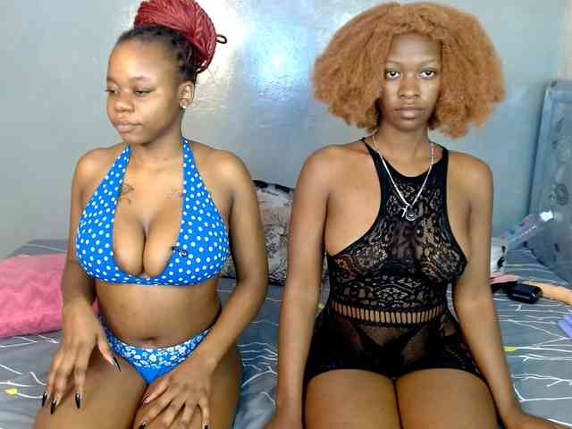 Royal309 webcam