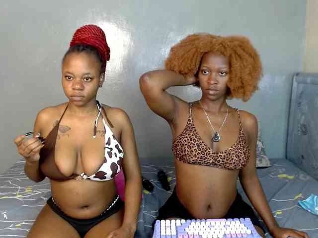 Royal309 webcam