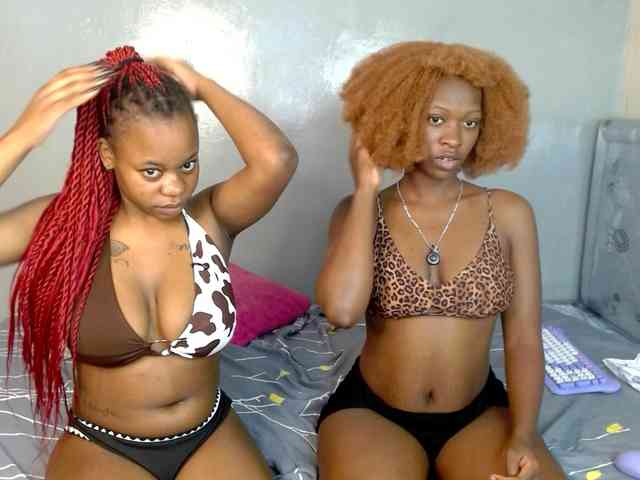 Royal309 Live Webcam on BongaCams