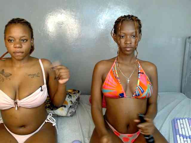 Royal309 webcam