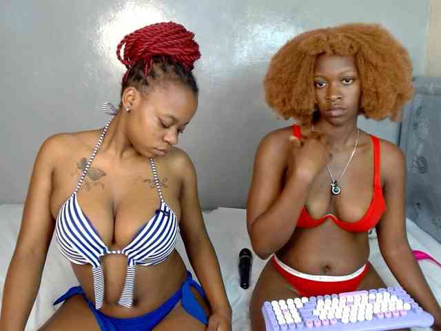 Royal309 webcam