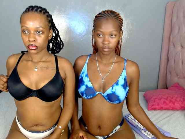 Royal309 webcam