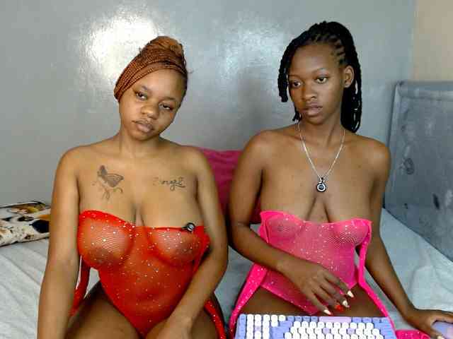 Royal309 webcam