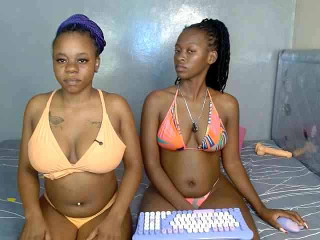 Royal309 webcam