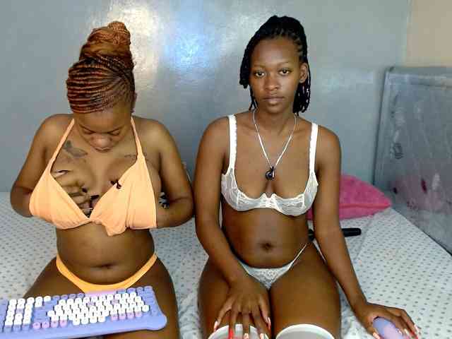 Royal309 webcam