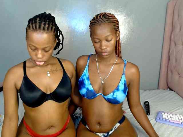 Royal309 webcam