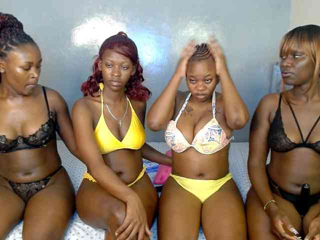 Royal309 webcam